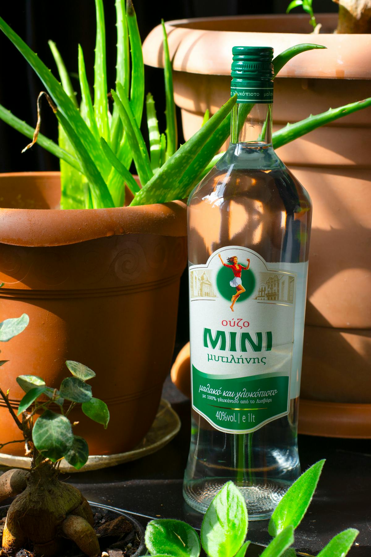 Bottle of Greek ouzo spirit — traditional Athens drinking culture