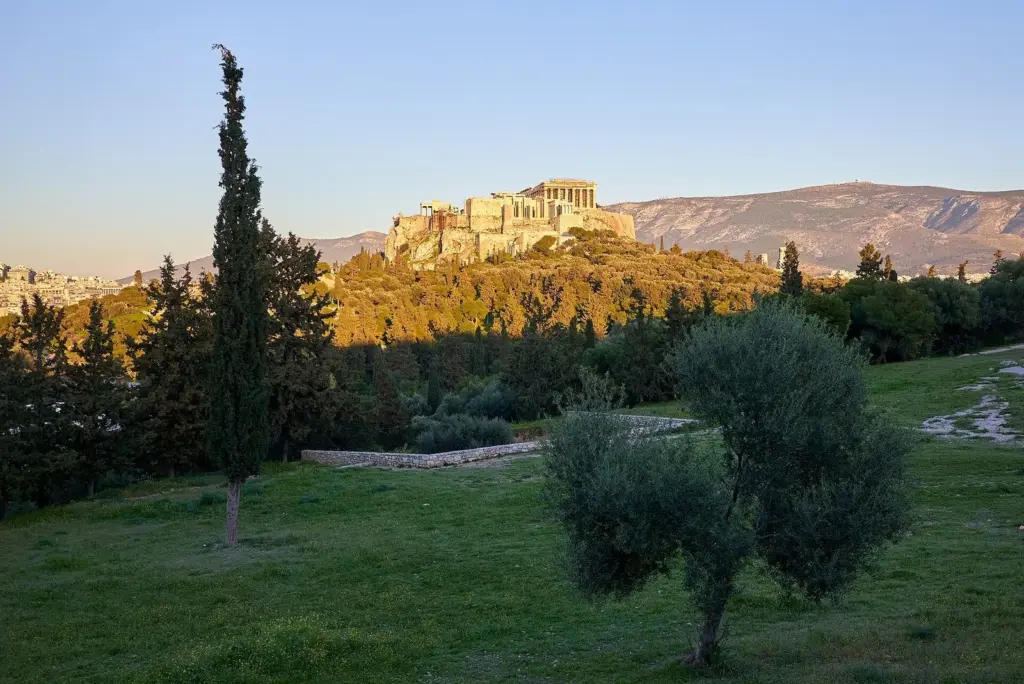 The Acropolis on its rock seen across the pines and olive trees of the Pnyx in low evening sun