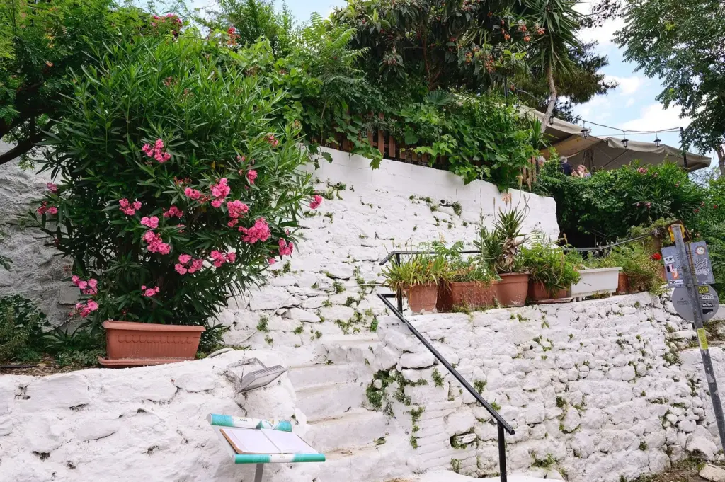 Whitewashed steps, potted plants and oleander in the Anafiotika quarter below the Acropolis