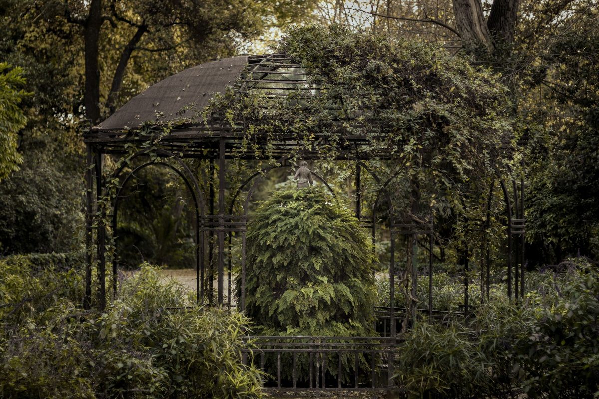 Shaded planting of the kind that makes the National Garden the best midday refuge in central Athens.