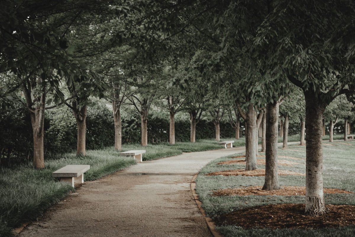 Tree cover matters more than equipment in an Athens summer.