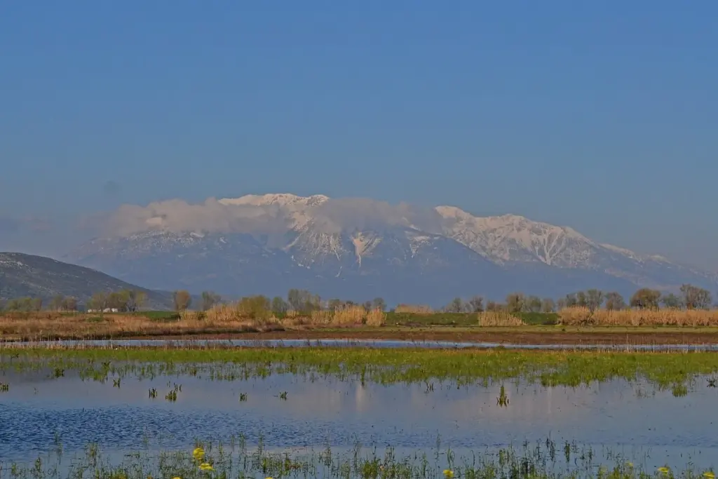 Snow-capped Mount Parnassos seen across the flat Kopaida plain with water and reeds in the foreground