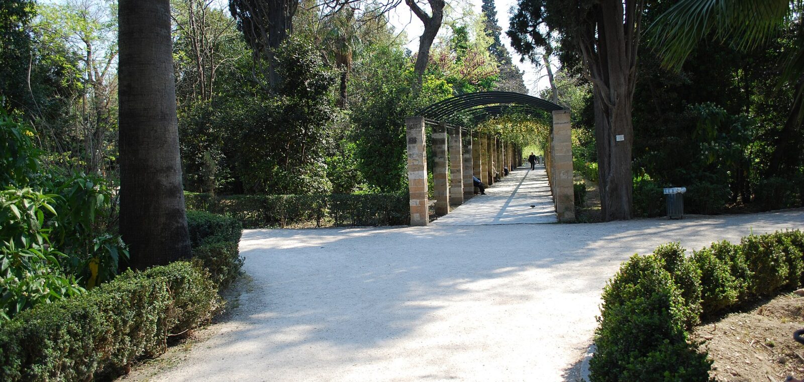 A pergola shades a path among mature trees and trimmed hedges in the National Garden of Athens.