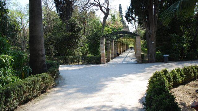 Best Parks & Playgrounds in Athens for Kids (2026)
