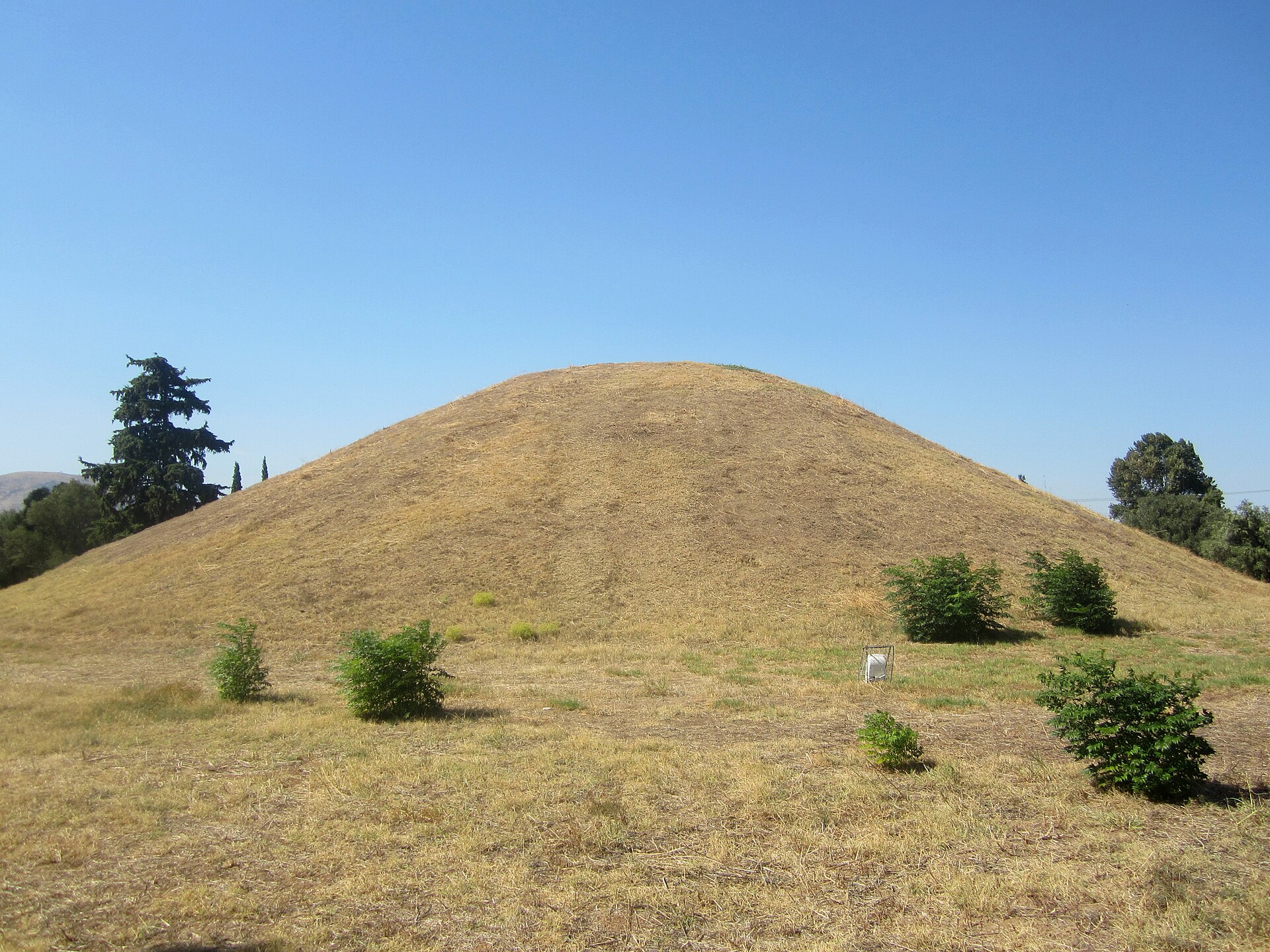 The Tomb of the Athenians at Marathon rises as a rounded grassy mound among scattered shrubs and trees.