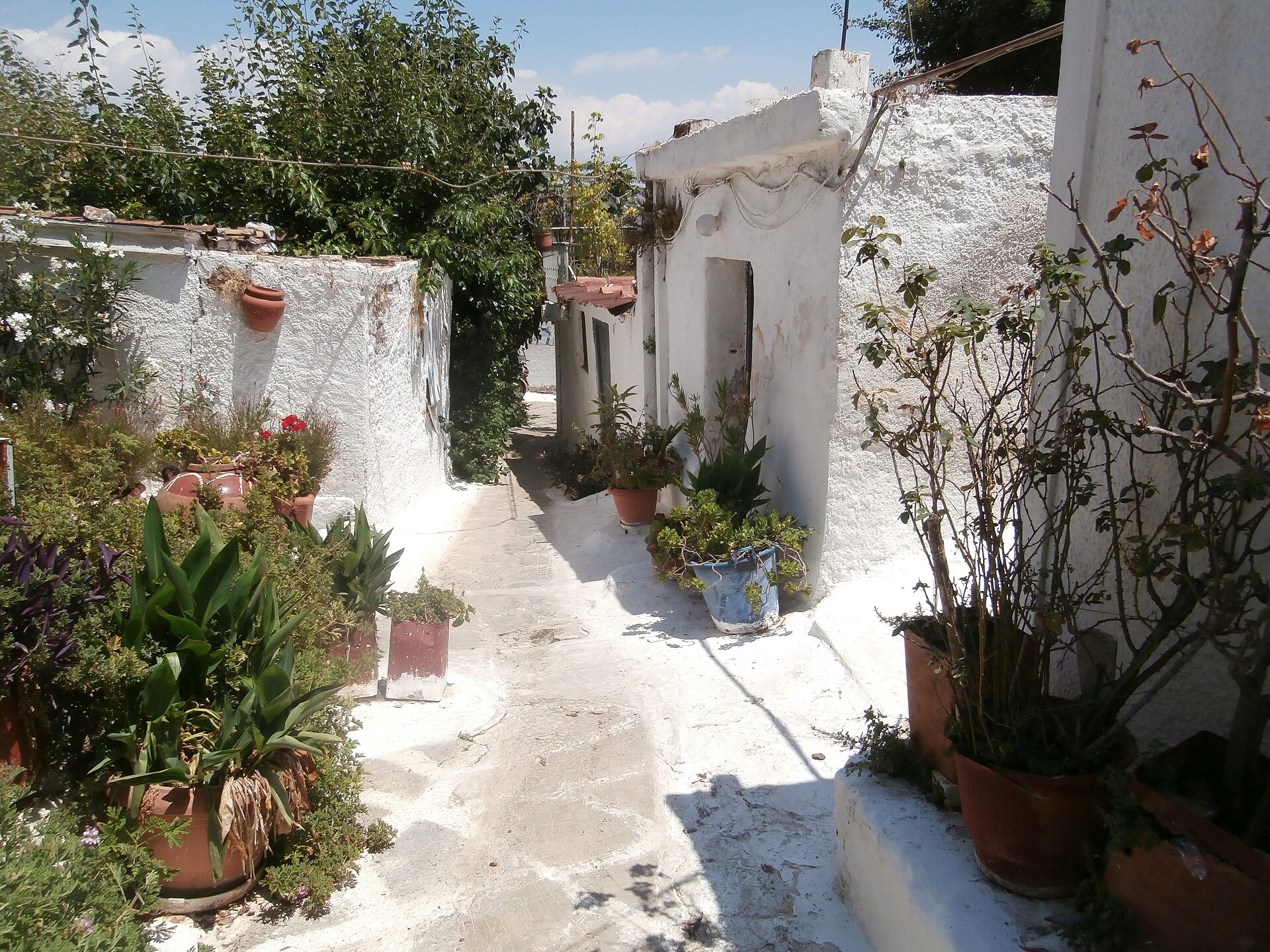 Whitewashed houses and potted plants line a narrow sunlit lane in Anafiotika, Athens.